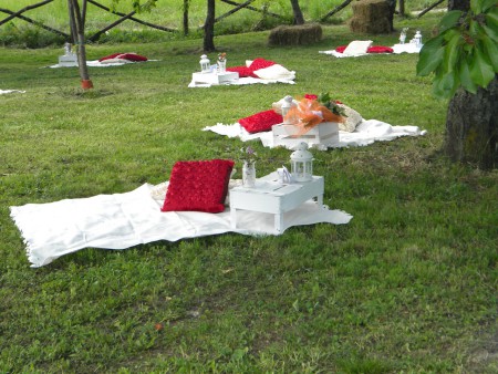pic-nic wedding -1